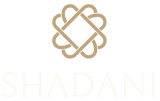 Shadani&Co